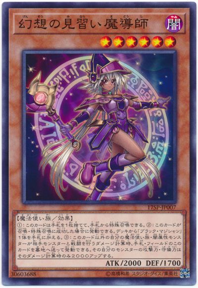 幻想之見習魔導師