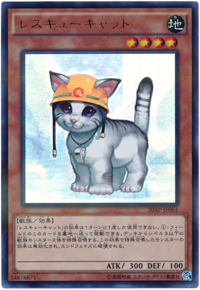 救援貓