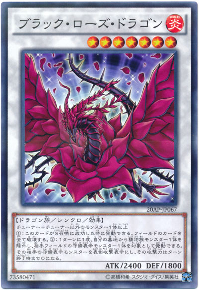 黑玫瑰龍