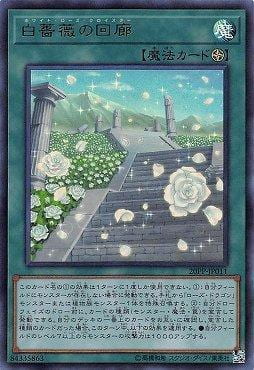 白薔薇之迴廊