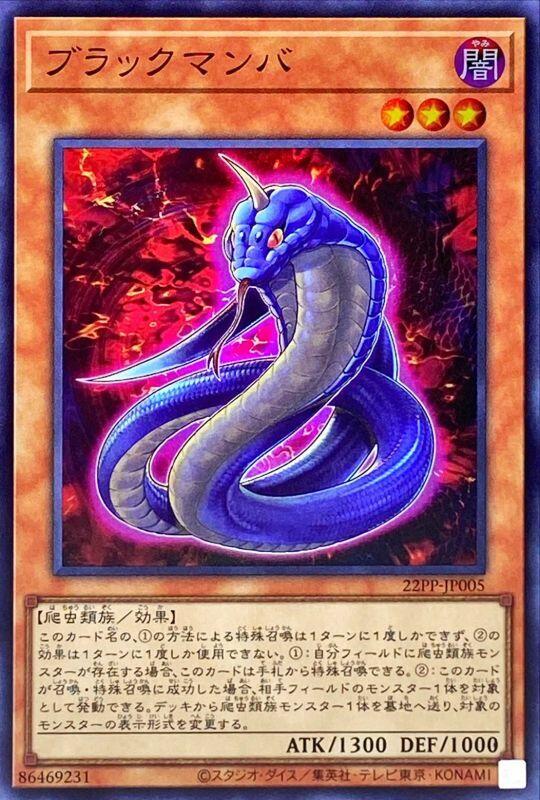 黑曼巴蛇
