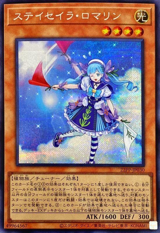 支索帆迷迭香