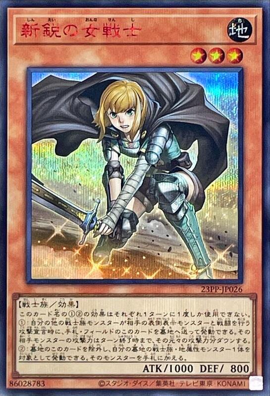 新銳的女戰士