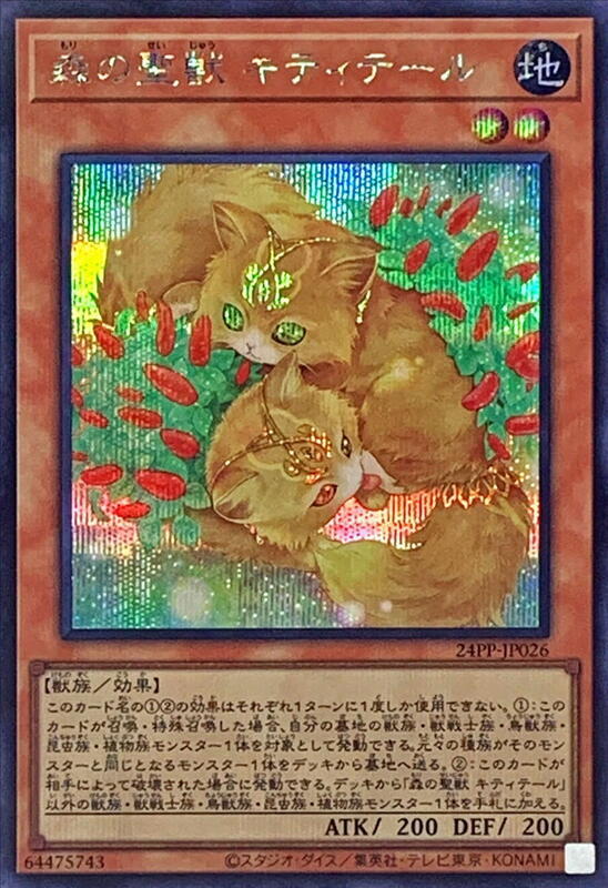 魔龍將迪亞波利卡