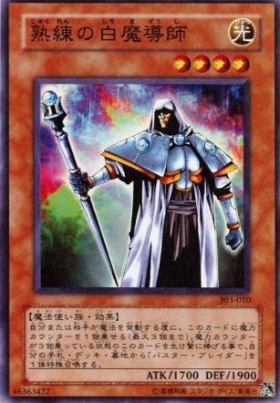 熟練的白魔導師