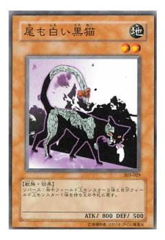 白尾黑貓