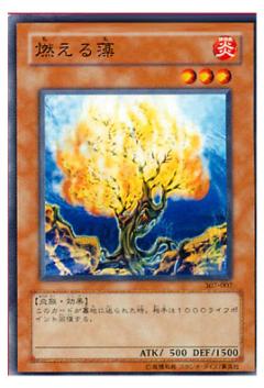 燃燒海藻