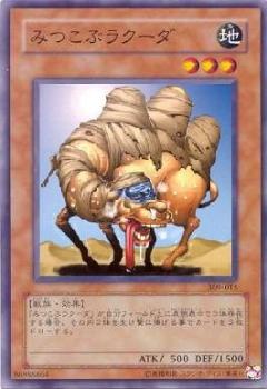 裝滿昆布的駱駝