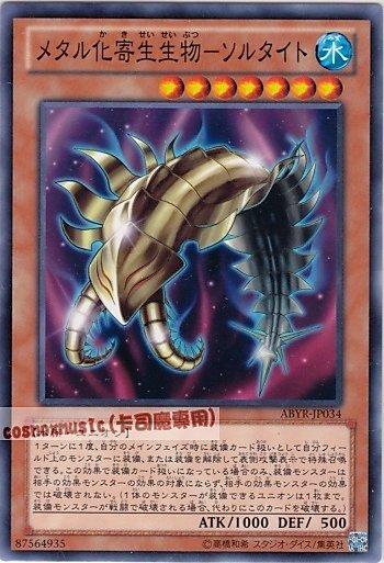 金屬化寄生生物-日之衣