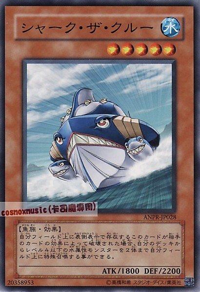 庫爾鯊魚
