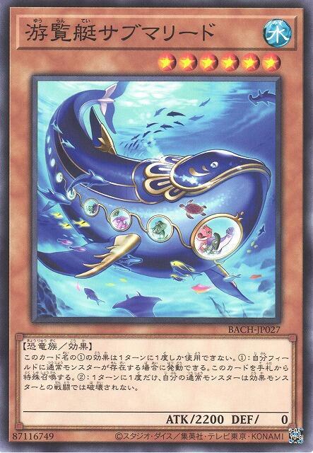 游覽艇利茲魚潛艦