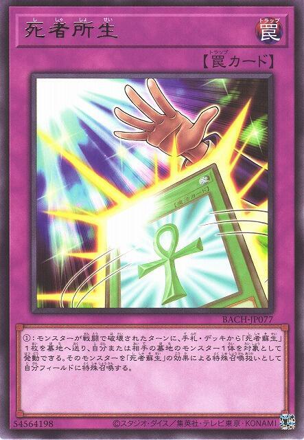 死者所生