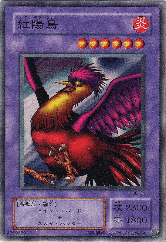 紅陽鳥