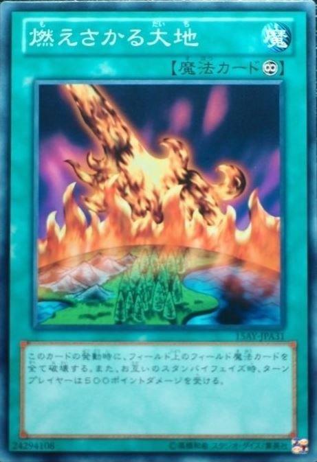 燃燒的大地