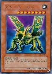 大飛蛾