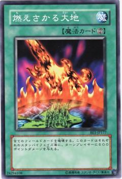 燃燒的大地