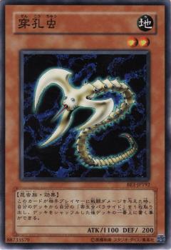 穿孔蟲
