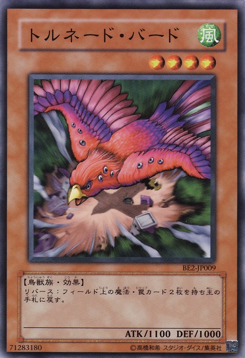 龍捲風鳥