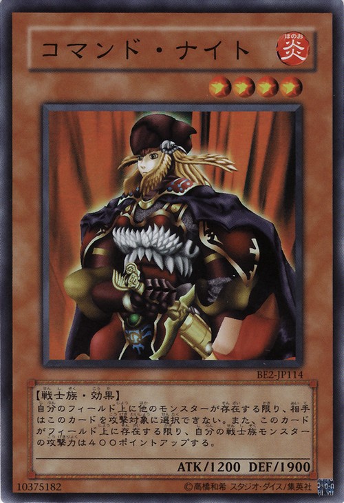 指令騎士