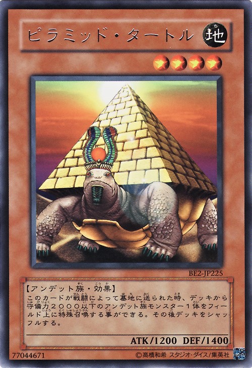 金字塔龜
