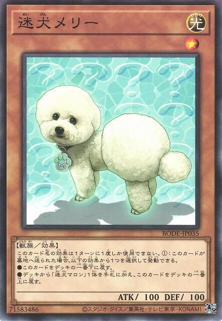 迷犬瑪莉