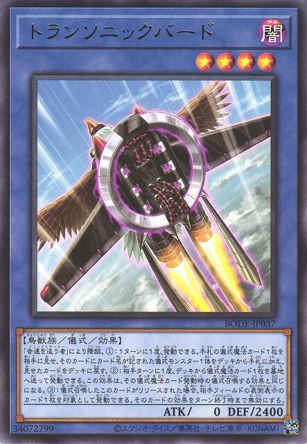穿音速鳥