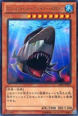 古代鯊 超巨齒鯊