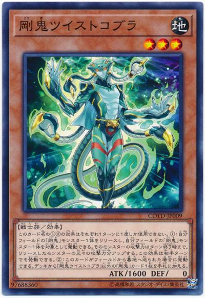 剛鬼蛇式固定