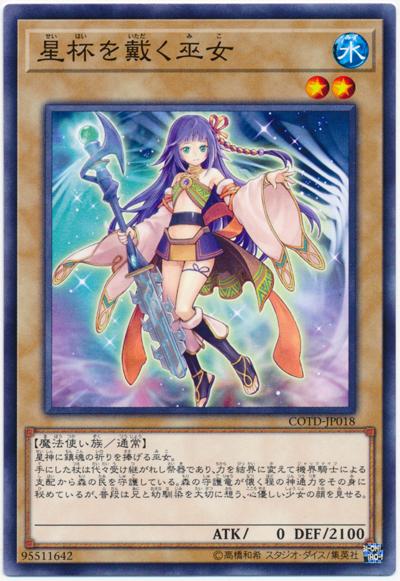 擁戴星杯的巫女