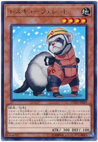 救援貂
