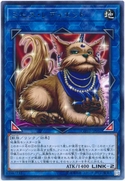 貴婦終結犬