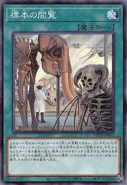 標本閱覽
