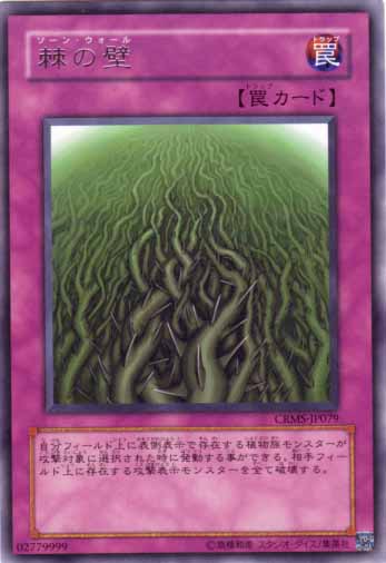棘之壁
