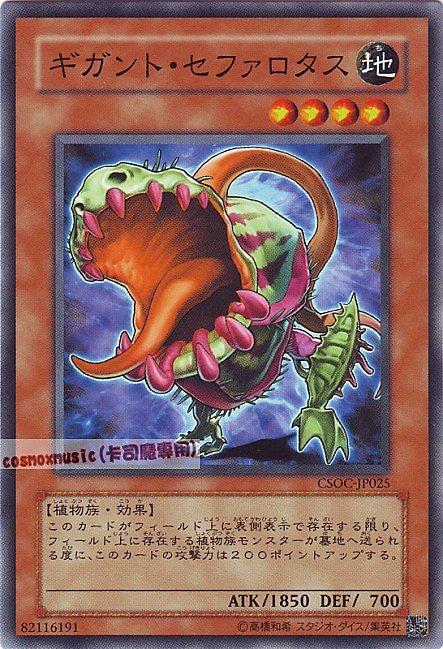 巨大土瓶草