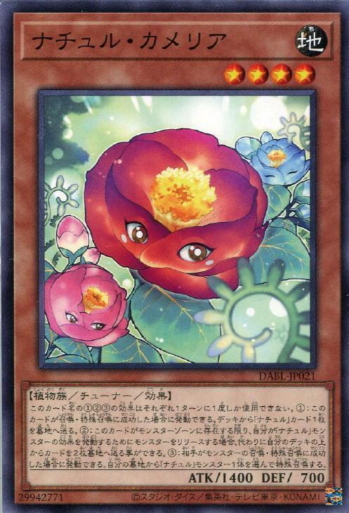 自然山茶花