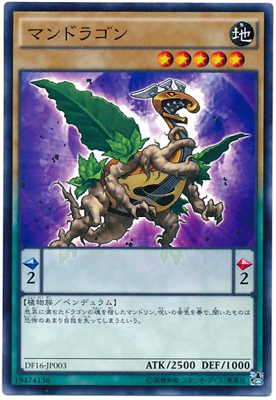 蔓陀羅龍