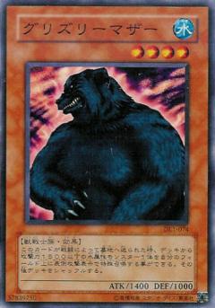 母灰熊