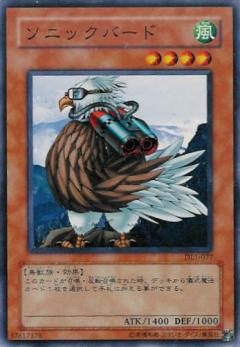 音速鳥