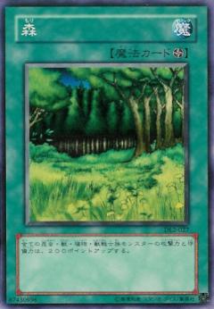 森林