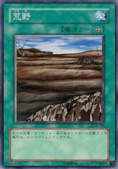 荒野