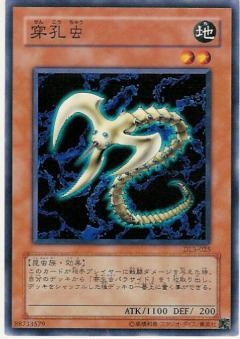 穿孔蟲