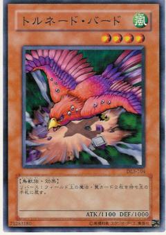 龍捲風鳥