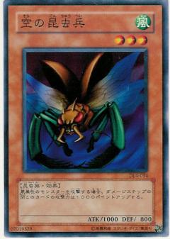 空之昆蟲兵