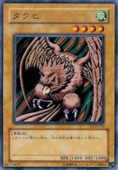 達可希鳥