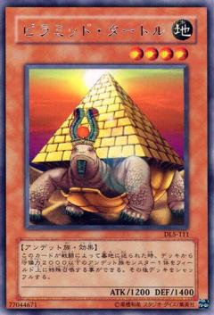 金字塔龜