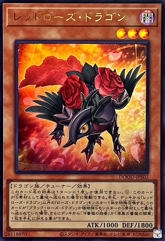 紅薔薇龍