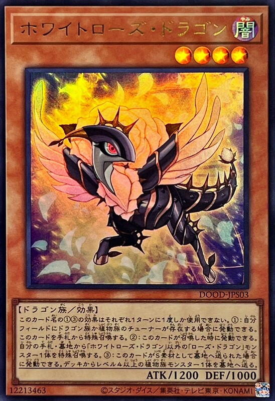 白薔薇龍