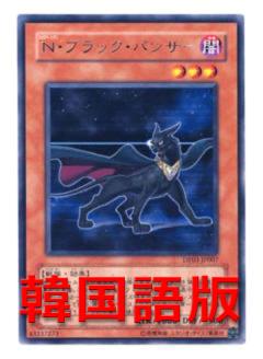 N漆黑獵豹