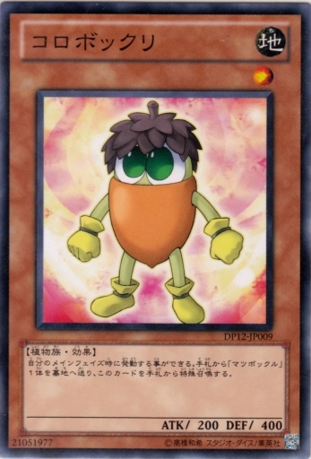 橡子小矮人