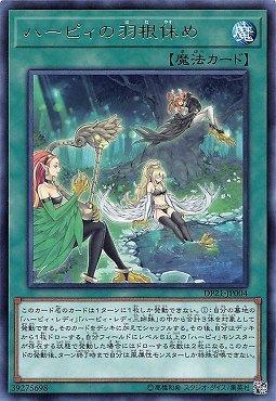 神鷹羽棲